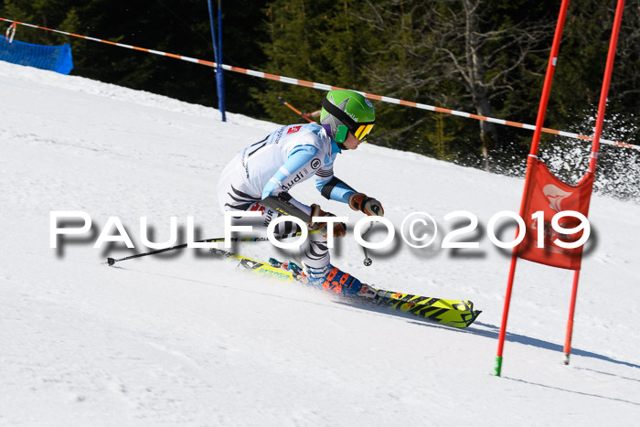 BZB Cup Finale, Quali + Parallelslalom, 31.03.2019