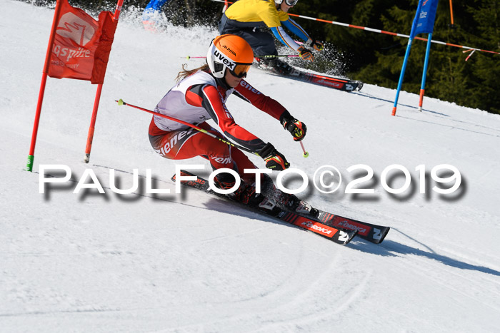 BZB Cup Finale, Quali + Parallelslalom, 31.03.2019