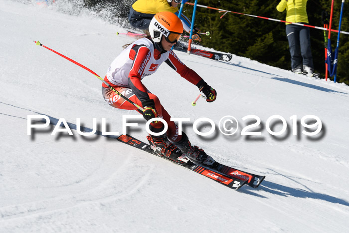 BZB Cup Finale, Quali + Parallelslalom, 31.03.2019