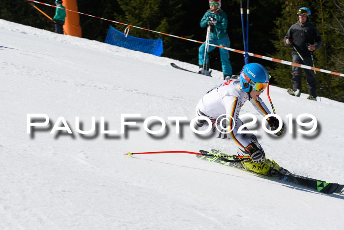 BZB Cup Finale, Quali + Parallelslalom, 31.03.2019