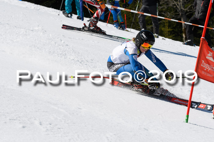 BZB Cup Finale, Quali + Parallelslalom, 31.03.2019