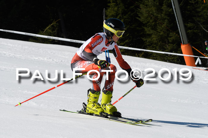 BZB Cup Finale, Quali + Parallelslalom, 31.03.2019