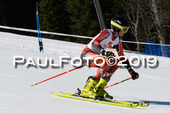 BZB Cup Finale, Quali + Parallelslalom, 31.03.2019