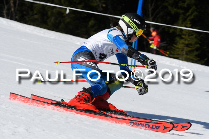 BZB Cup Finale, Quali + Parallelslalom, 31.03.2019