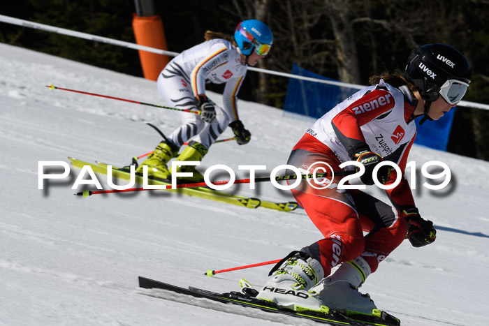 BZB Cup Finale, Quali + Parallelslalom, 31.03.2019