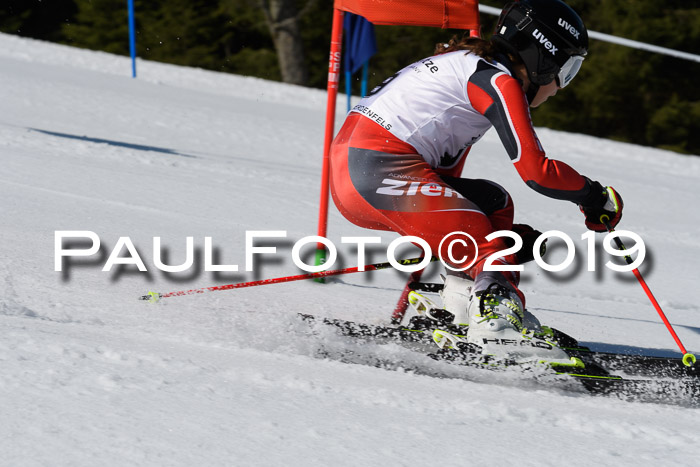 BZB Cup Finale, Quali + Parallelslalom, 31.03.2019