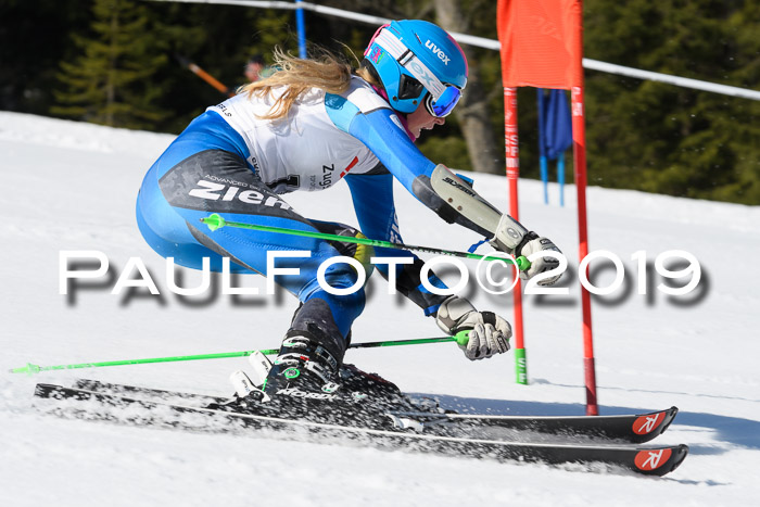BZB Cup Finale, Quali + Parallelslalom, 31.03.2019