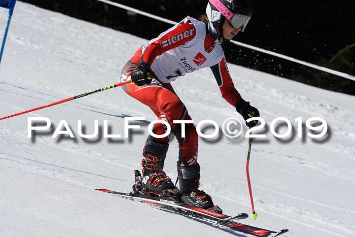 BZB Cup Finale, Quali + Parallelslalom, 31.03.2019