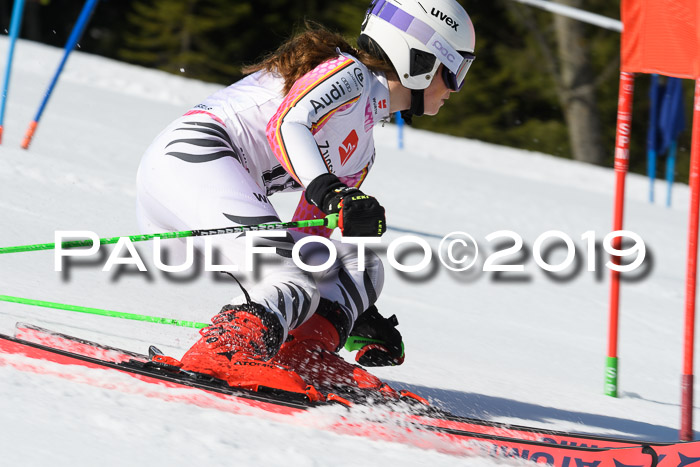 BZB Cup Finale, Quali + Parallelslalom, 31.03.2019