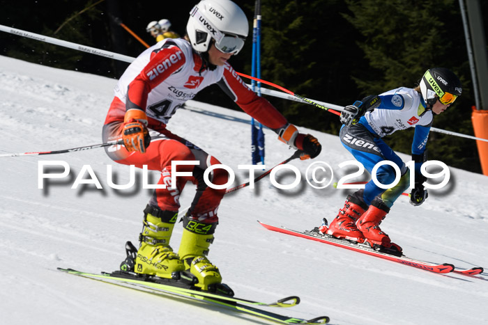 BZB Cup Finale, Quali + Parallelslalom, 31.03.2019