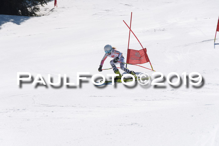 BZB Cup Finale, Quali + Parallelslalom, 31.03.2019