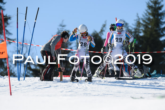 BZB Cup Finale, Quali + Parallelslalom, 31.03.2019