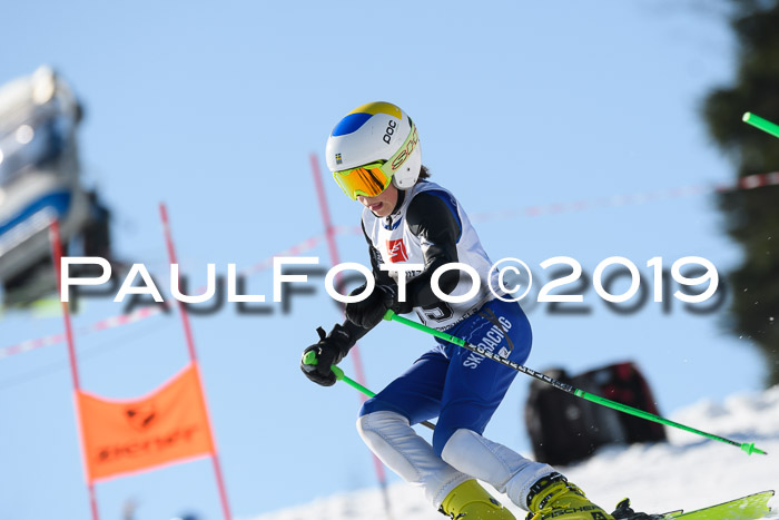 BZB Cup Finale, Quali + Parallelslalom, 31.03.2019