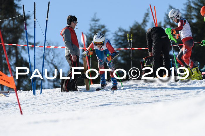 BZB Cup Finale, Quali + Parallelslalom, 31.03.2019