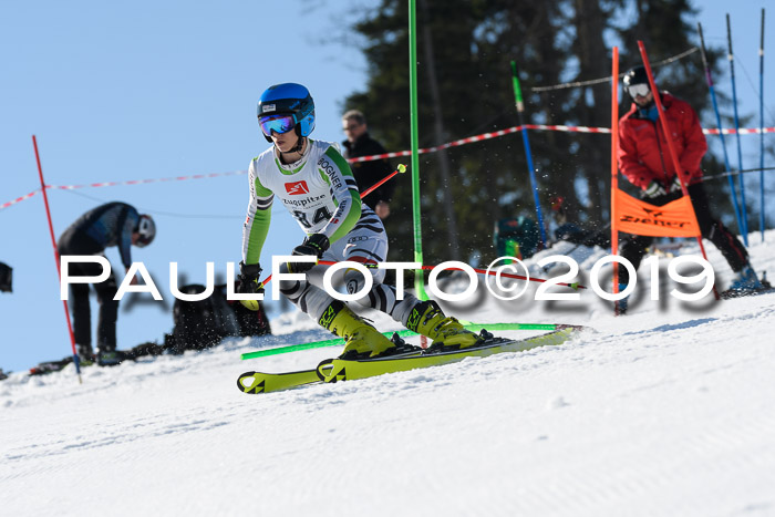 BZB Cup Finale, Quali + Parallelslalom, 31.03.2019