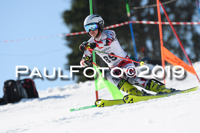 BZB Cup Finale, Quali + Parallelslalom, 31.03.2019