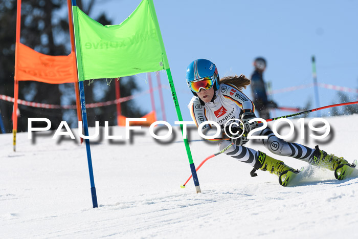 BZB Cup Finale, Quali + Parallelslalom, 31.03.2019