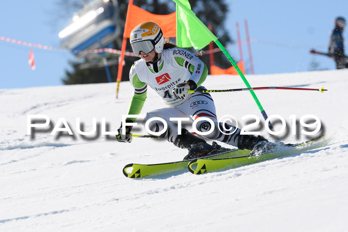 BZB Cup Finale, Quali + Parallelslalom, 31.03.2019