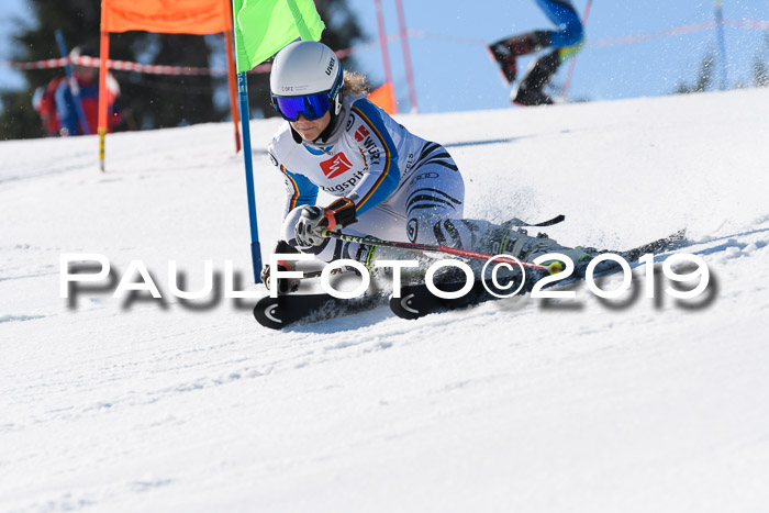 BZB Cup Finale, Quali + Parallelslalom, 31.03.2019