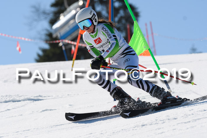 BZB Cup Finale, Quali + Parallelslalom, 31.03.2019