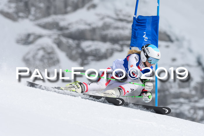 Ländervergleich Bayern-Tirol-Südtirol RS 2019