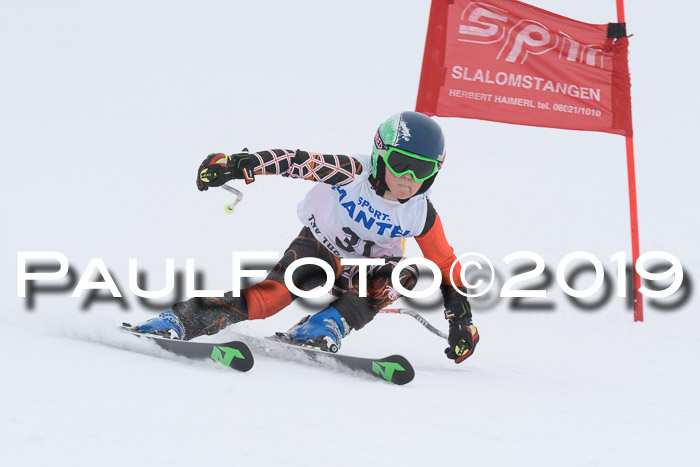 SVM U8/U10 Rennserie RS 13.04.2019