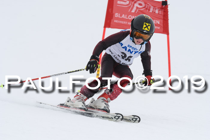 SVM U8/U10 Rennserie RS 13.04.2019