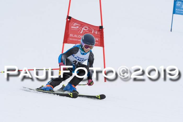 SVM U8/U10 Rennserie RS 13.04.2019