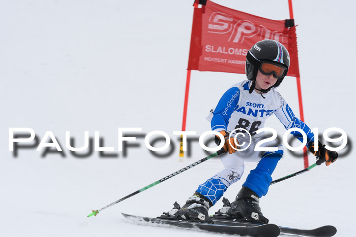 SVM U8/U10 Rennserie RS 13.04.2019