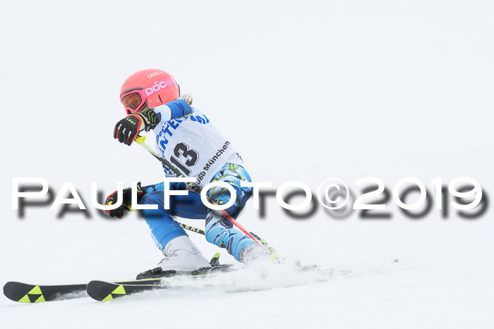 SVM U8/U10 Rennserie RS 13.04.2019