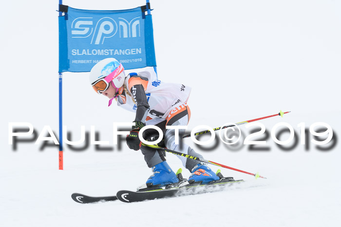 SVM U8/U10 Rennserie RS 13.04.2019