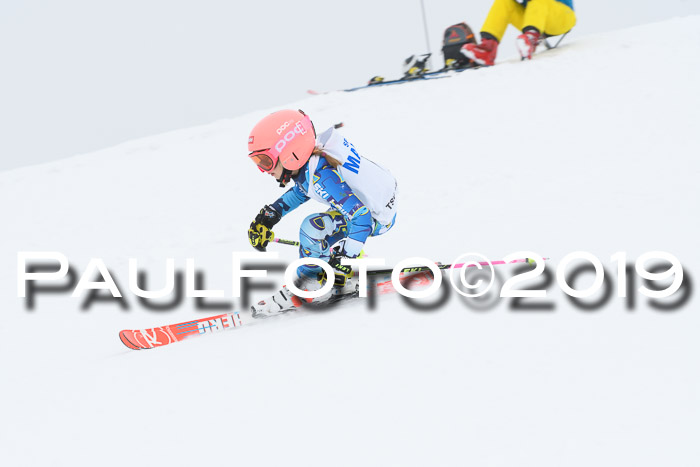 SVM U8/U10 Rennserie RS 13.04.2019