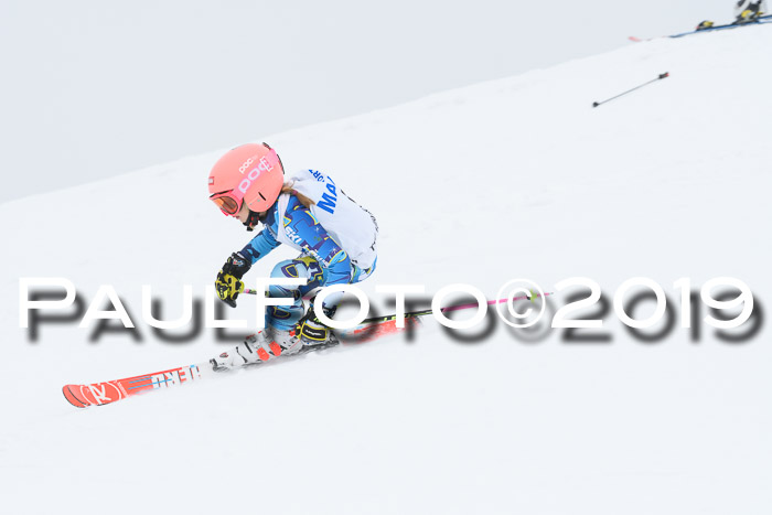 SVM U8/U10 Rennserie RS 13.04.2019