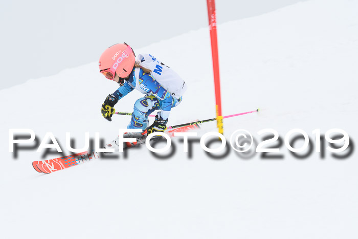 SVM U8/U10 Rennserie RS 13.04.2019