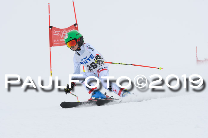 SVM U8/U10 Rennserie RS 13.04.2019