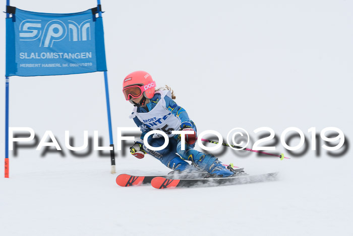SVM U8/U10 Rennserie RS 13.04.2019