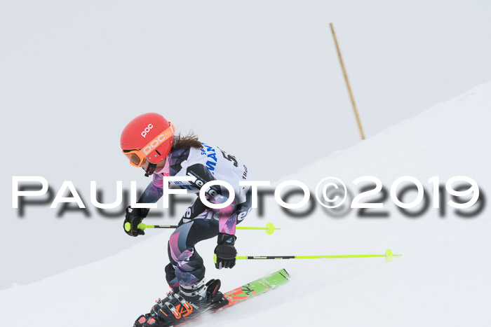 SVM U8/U10 Rennserie RS 13.04.2019
