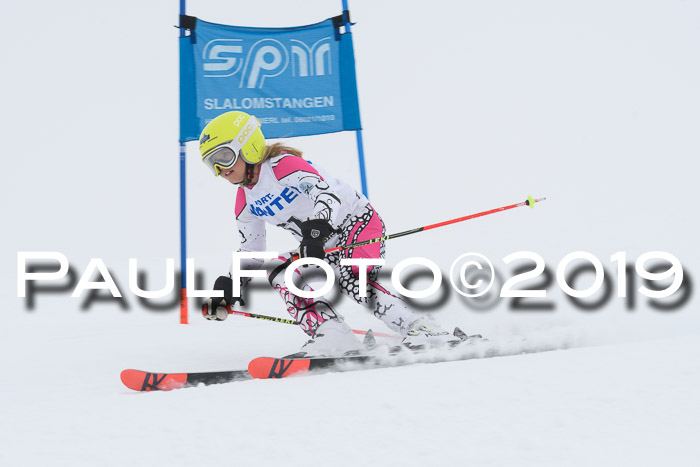 SVM U8/U10 Rennserie RS 13.04.2019