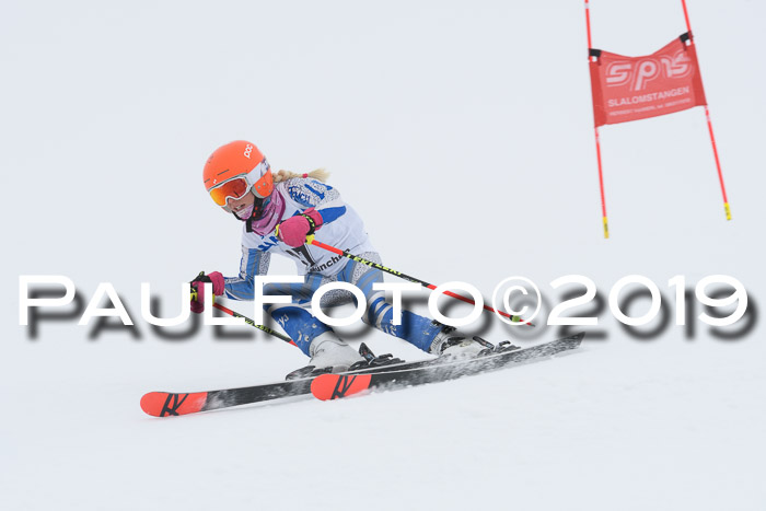 SVM U8/U10 Rennserie RS 13.04.2019