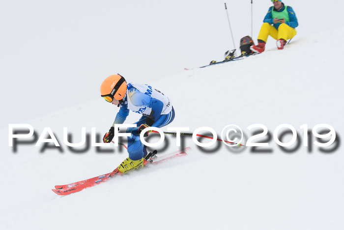 SVM U8/U10 Rennserie RS 13.04.2019
