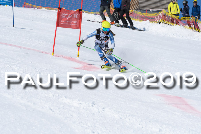 SVM Finale 15.04.2019 Teamwettbewerb