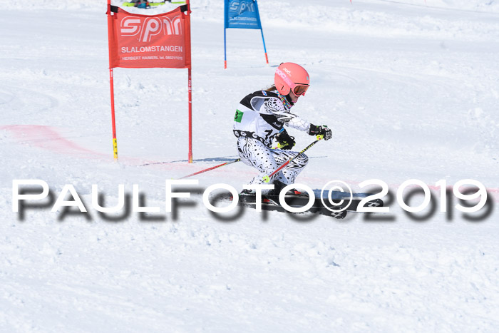 SVM Finale 15.04.2019 Teamwettbewerb
