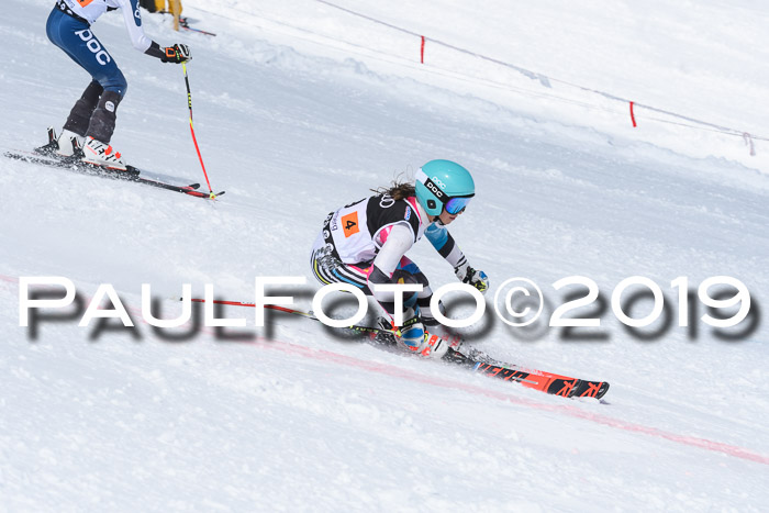SVM Finale 15.04.2019 Teamwettbewerb