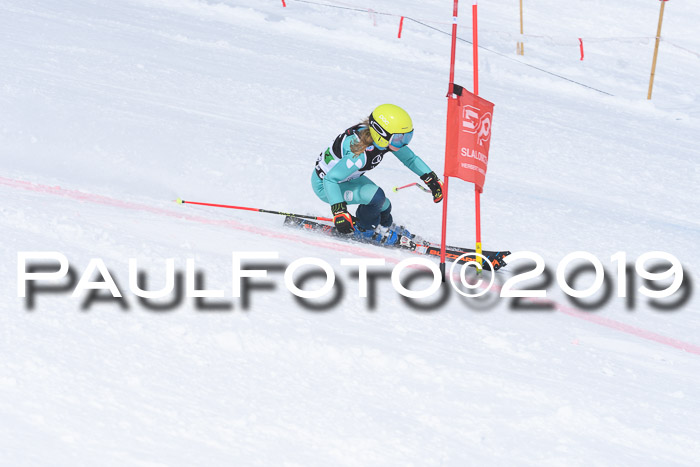 SVM Finale 15.04.2019 Teamwettbewerb