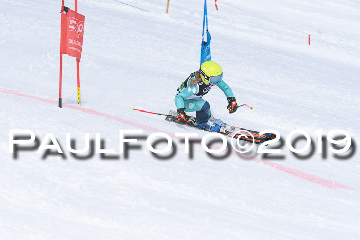 SVM Finale 15.04.2019 Teamwettbewerb