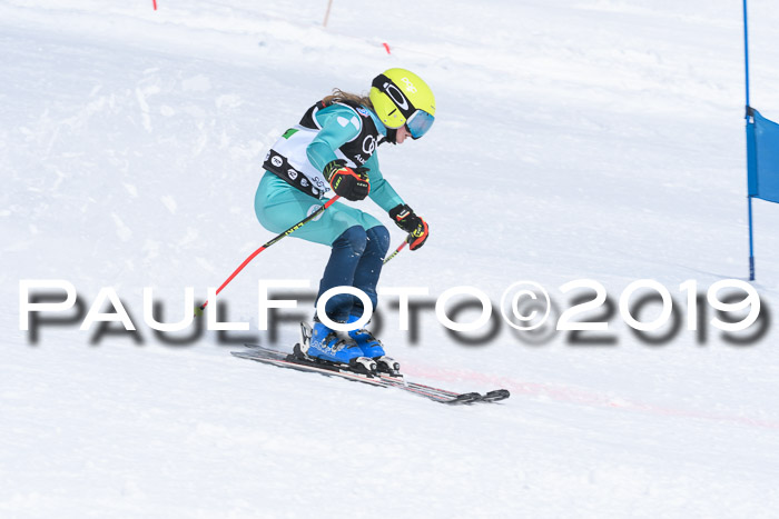 SVM Finale 15.04.2019 Teamwettbewerb