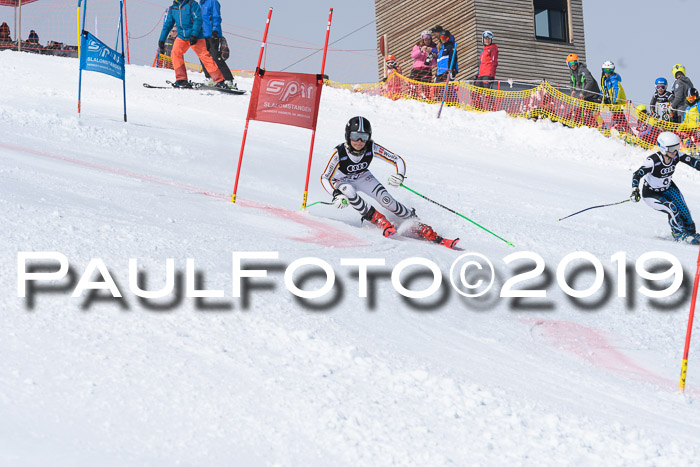SVM Finale 15.04.2019 Teamwettbewerb