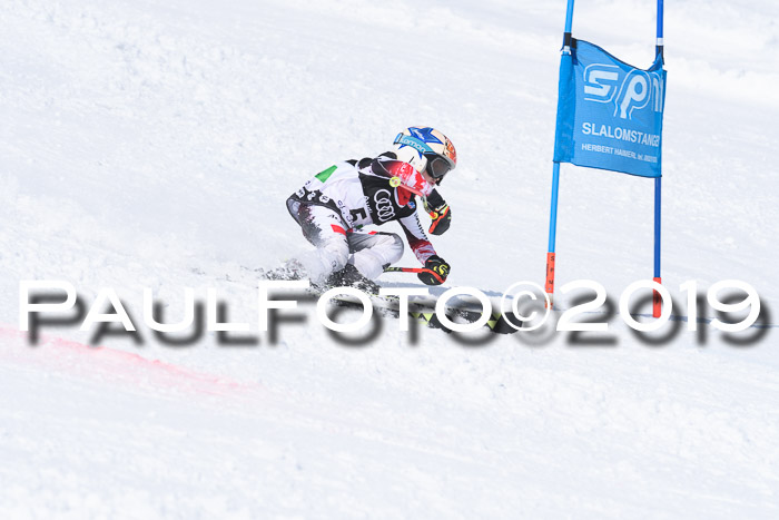 SVM Finale 15.04.2019 Teamwettbewerb