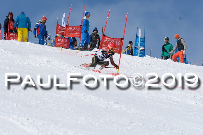 SVM Finale 15.04.2019 Teamwettbewerb