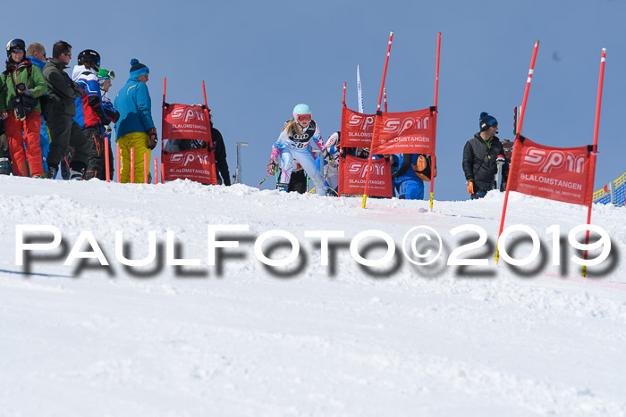 SVM Finale 15.04.2019 Teamwettbewerb